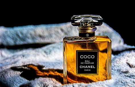 best chanel perfumes